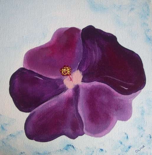 Hibiscus II