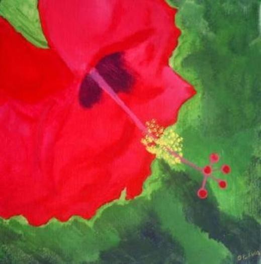 Hibiscus VIII