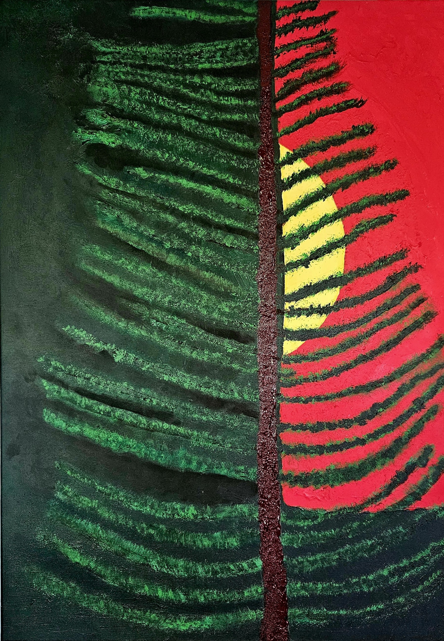 Norfolk Pine