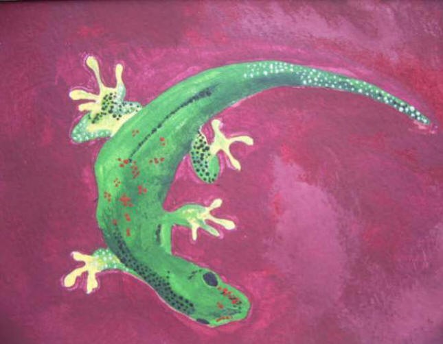 Gecko I